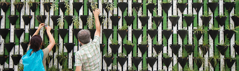 People Putting Potted Plants on Green Wall