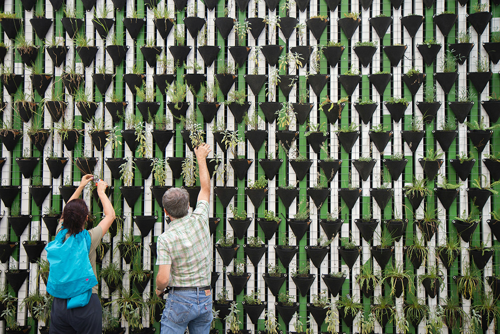 People Putting Potted Plants on Green Wall