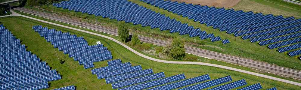 Sustainability Consulting: Solar Farm