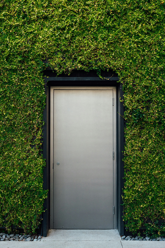 Sustainability Consulting: Door in the middle of a green wall